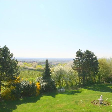 Krone Am Park - Gaestehaus Des Hotel Krone Alzenau in Unterfranken Buitenkant foto