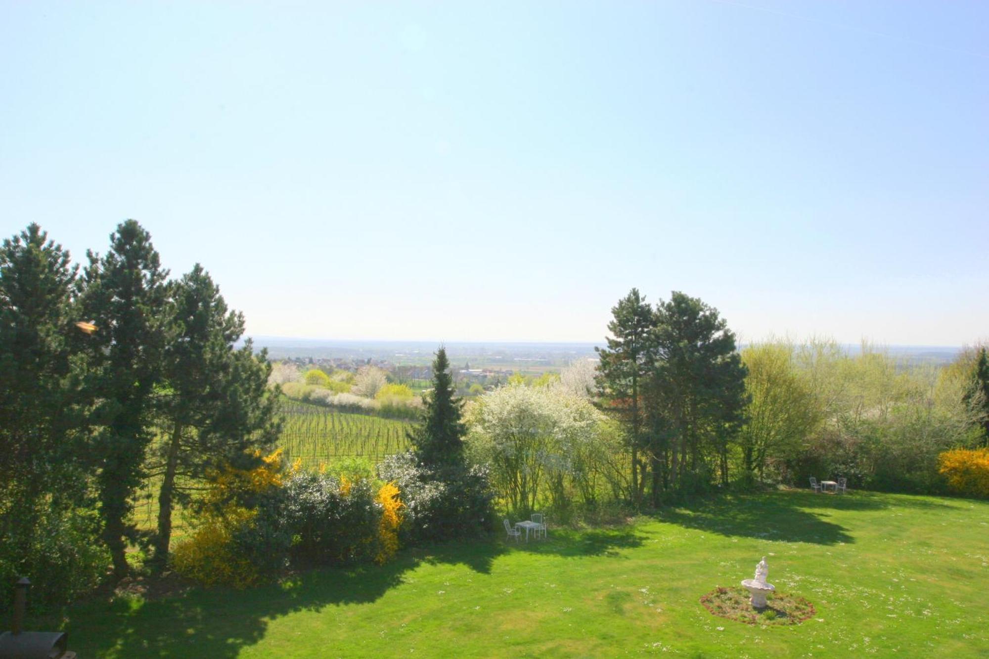 Krone Am Park - Gaestehaus Des Hotel Krone Alzenau in Unterfranken Buitenkant foto