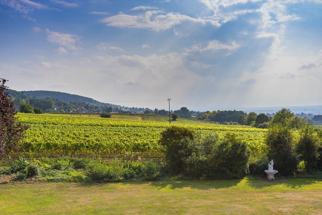 Krone Am Park - Gaestehaus Des Hotel Krone Alzenau in Unterfranken Buitenkant foto